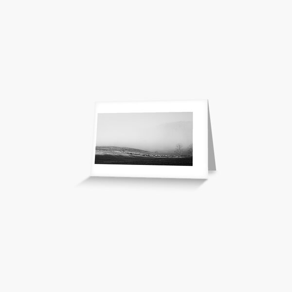 Early Morning Fog Greeting Card