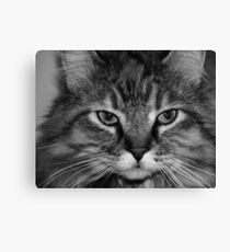 Demanding Canvas Print