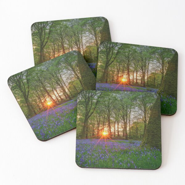 Item preview, Bluebells at Blackbury Camp designed and sold by Steve Liptrot Photography.
