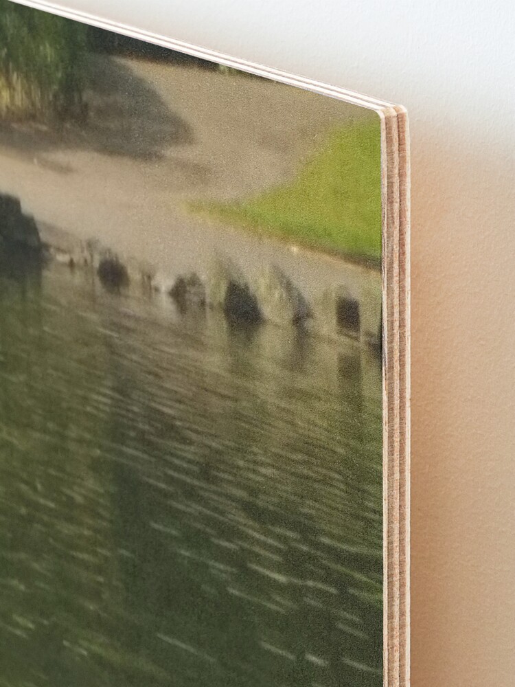 Alternate view of M.I. #62 |☼| Swan - Shot 20 (Pearson Park) Mounted Print