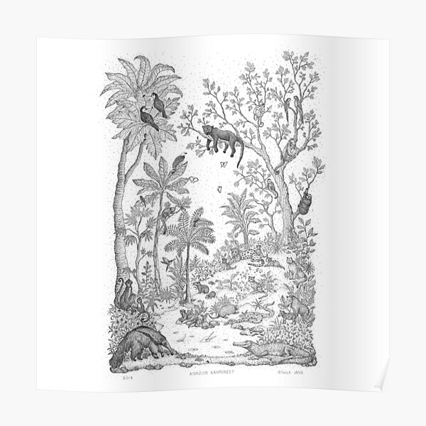 Amazon Rainforest Poster By Jessicajaneco Redbubble