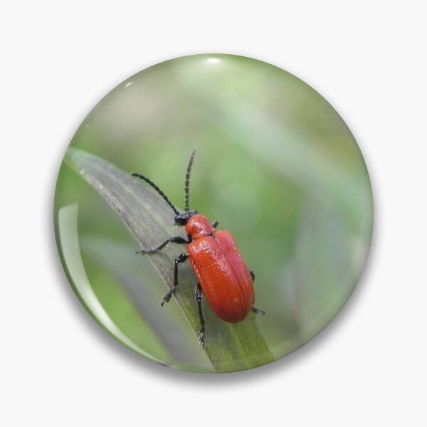 Item preview, Little Red Bug designed and sold by Martha Medford.