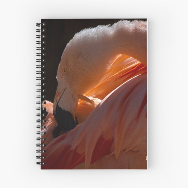 Item preview, Soft Touch designed and sold by JAPhoto.