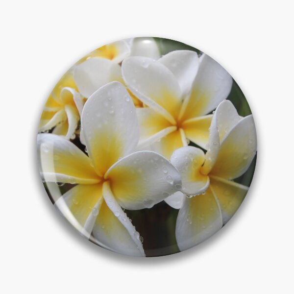 Item preview, Frangipani designed and sold by WinterRabbitArt.