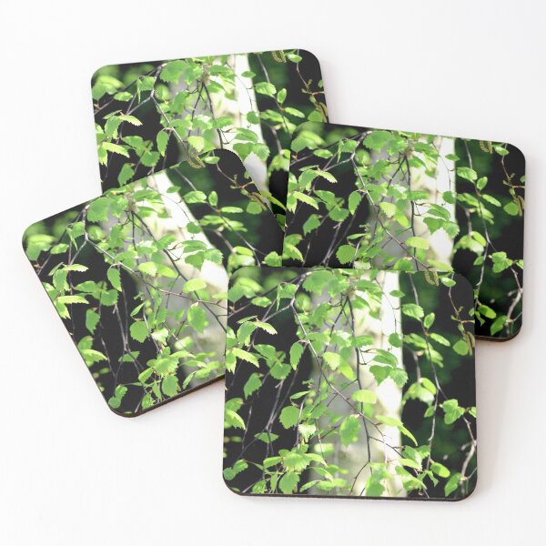 Item preview, Birch tree leaves against the bark in the sunshine designed and sold by chihuahuashower.