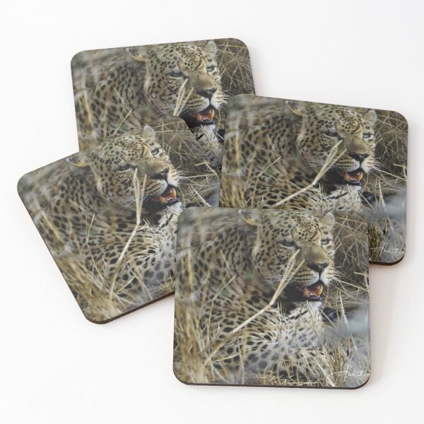 Item preview, Male leopard in Africa designed and sold by For The Love Of Travel.