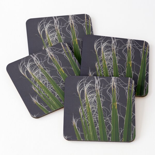 Item preview, Palm Fronds Close Up Against Grey Background Photography designed and sold by taiche.