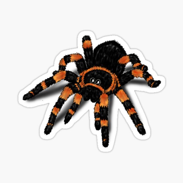 liebe Vogelspinne Sticker