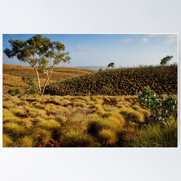 Item preview, "Millstream Wilderness" designed and sold by Heather Thorning.