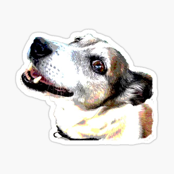 Alice Sticker