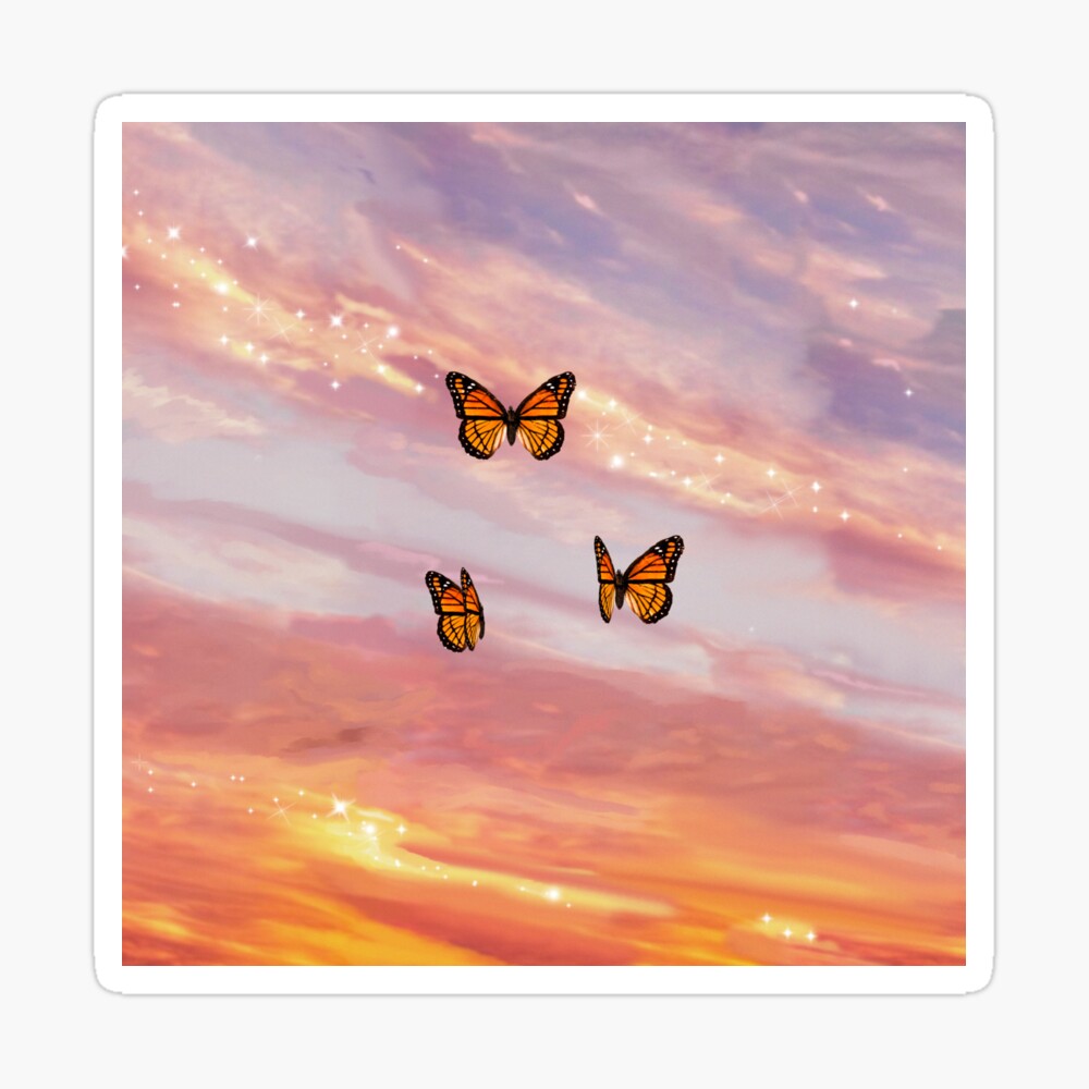 sunset with butterflies painting