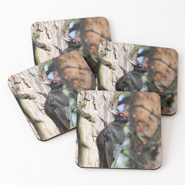 Item preview, To knock or not. Black woodpecker designed and sold by Jouko Lehto Photography.