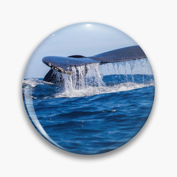 Item preview, Humpback whale fluke designed and sold by Nicole Bleck.