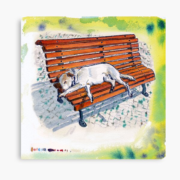 dog on bench Canvas Print