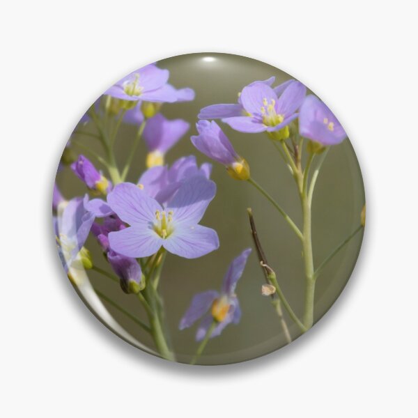 Item preview, Cardamine Pratensis designed and sold by JEZ22.