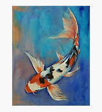 Sanke Butterfly Koi Photographic Print