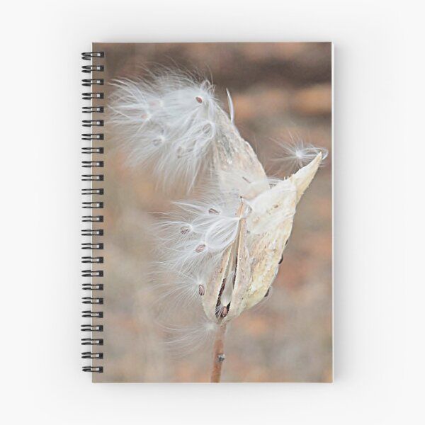 Item preview, Windblown designed and sold by Linda Crockett.
