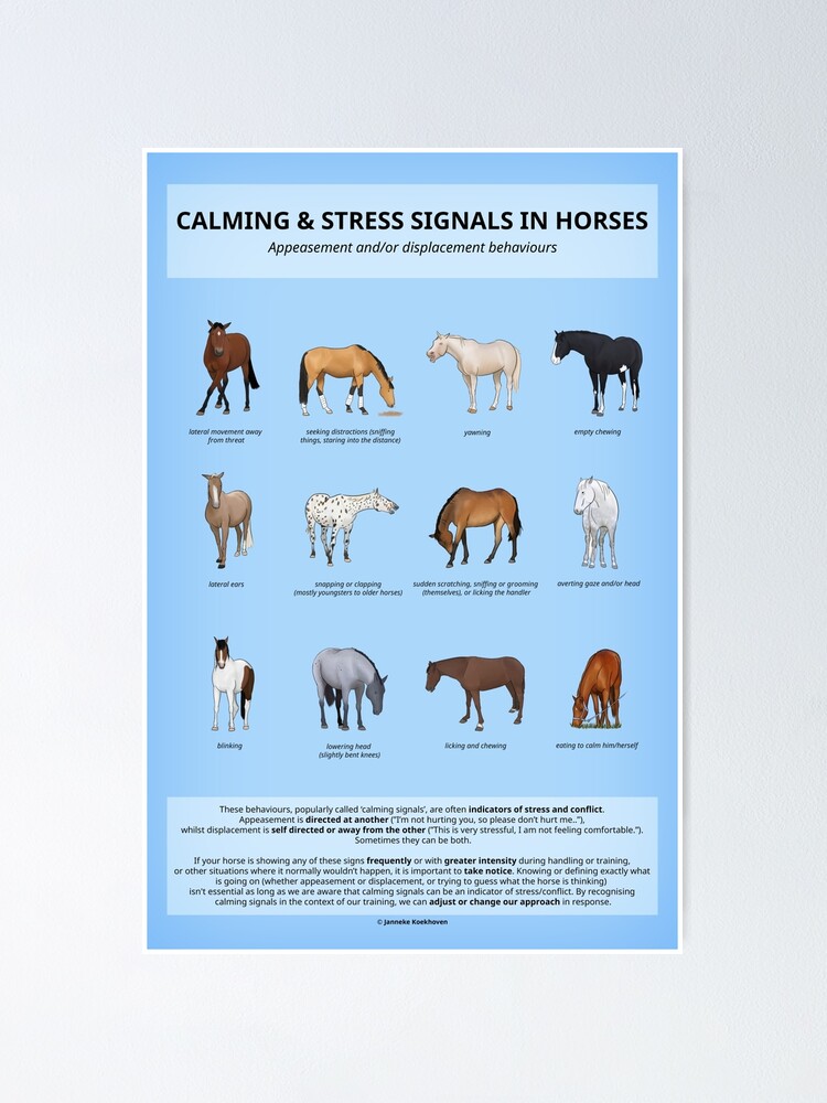 "Calming & Stress Signals in Horses" Poster by jannekoekie Redbubble