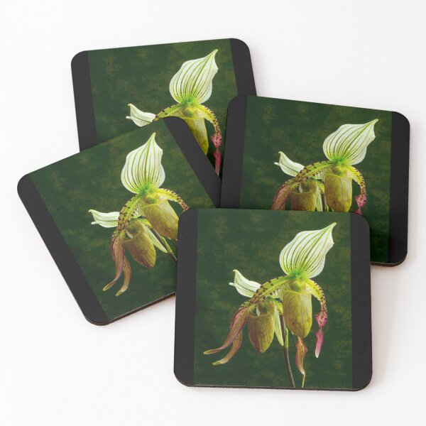 Item preview, Lady slipper Orchid designed and sold by vancer7.