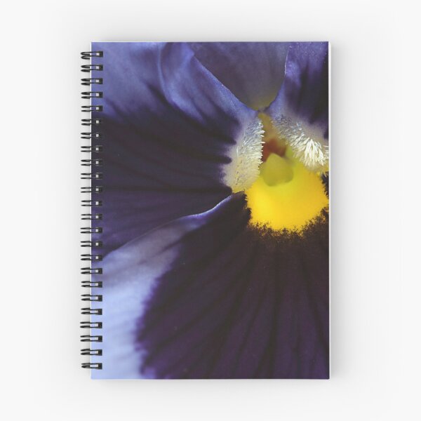 Item preview, Deep purple. designed and sold by Paul Pasco.
