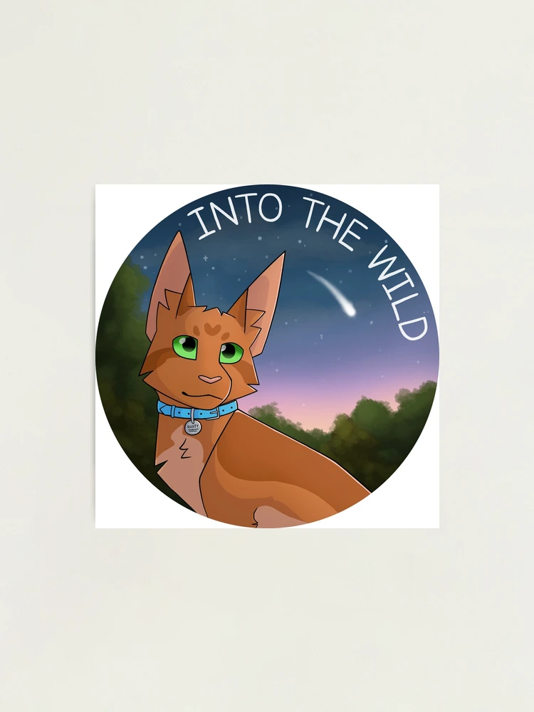 Warrior Cats Sticker set II