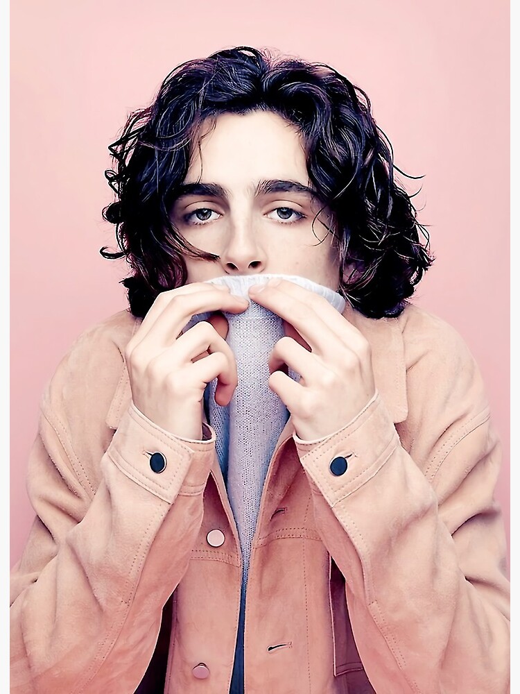 Timothee Chalamet Photoshoot | Art Board Print