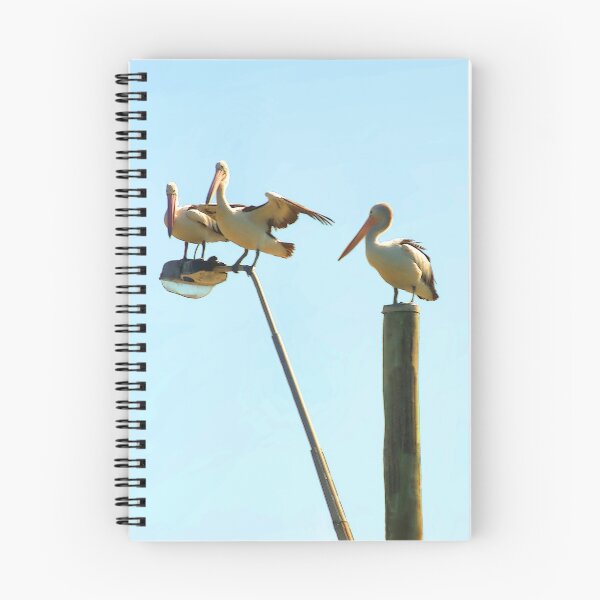 Item preview, Pelican Pole Position designed and sold by George Petrovsky.