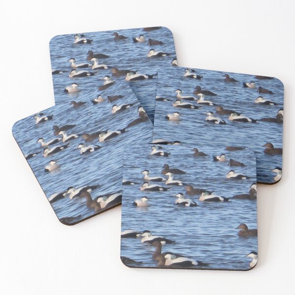 Item preview, Eider Ducks designed and sold by beavo.