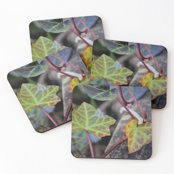 Item preview, IVY ON WOOD designed and sold by TEAM LEGACY STORE.