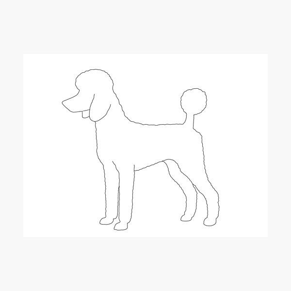 Artikelvorschau, Standard Pudel Line Art entworfen und verkauft von tayburson.