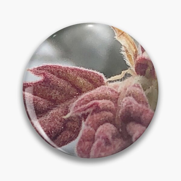 Item preview, Leaves Unfurling in Spring designed and sold by Paula Betz.
