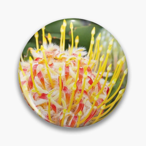 Item preview, Gift idea Protea photo designed and sold by Katja LebenFreude.