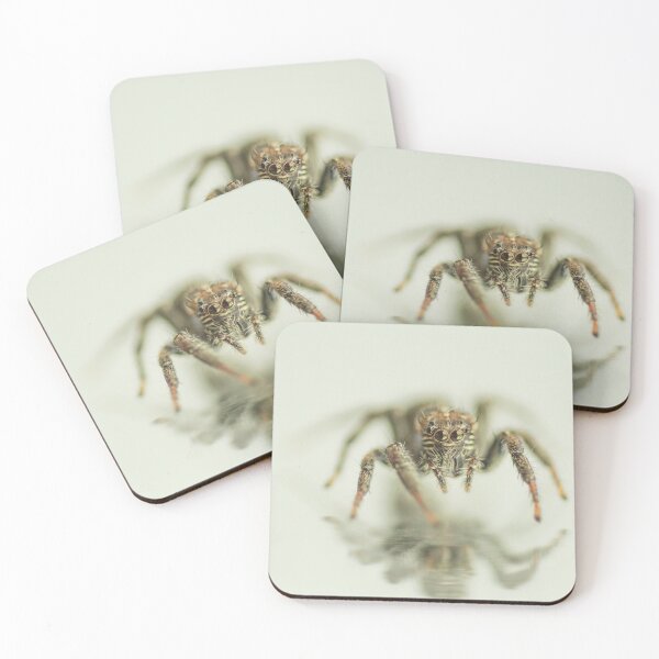 Artikelvorschau, Springende Spinne entworfen und verkauft von Shaun Colin Bell.