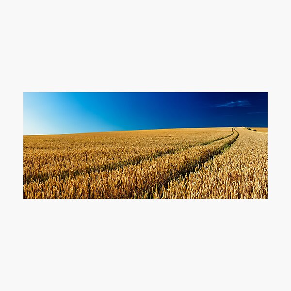 KORNFELD Photographic Print