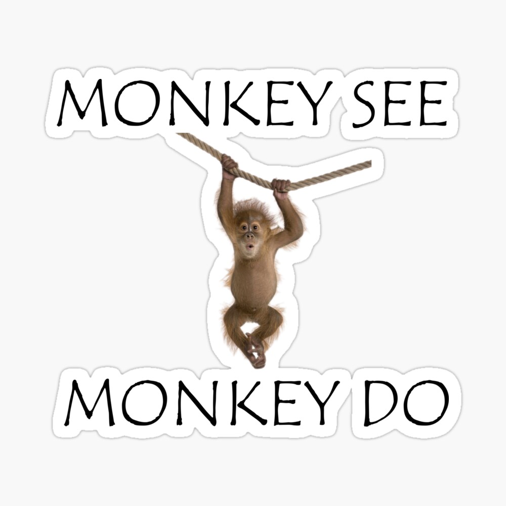 ✨️monkey see, monkey do✨️ — SHE!!