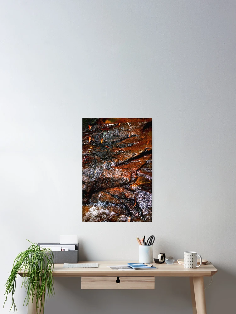 Thumbnail 2 of 3, Poster, Wet Rocks designed and sold by Robyn Forbes.