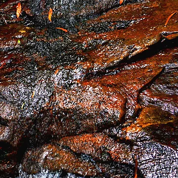 Artwork thumbnail, Wet Rocks by Robyn Forbes