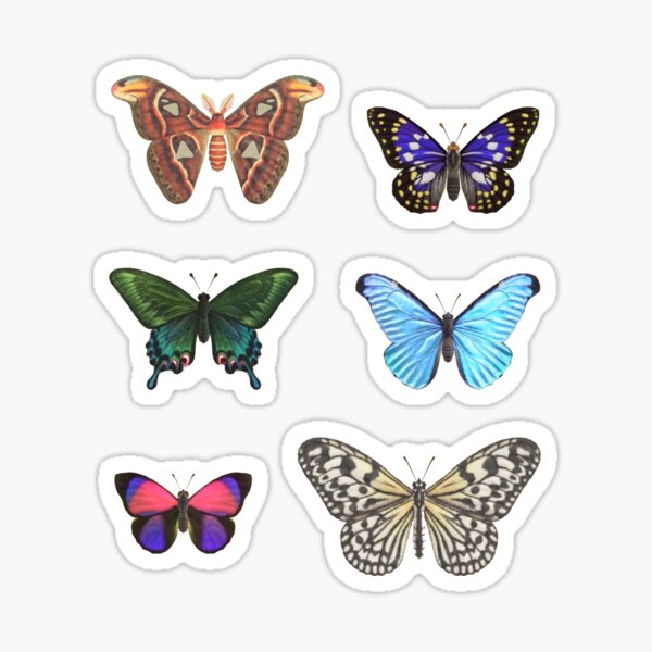 Animal Crossing Butterflies Stickers | Redbubble