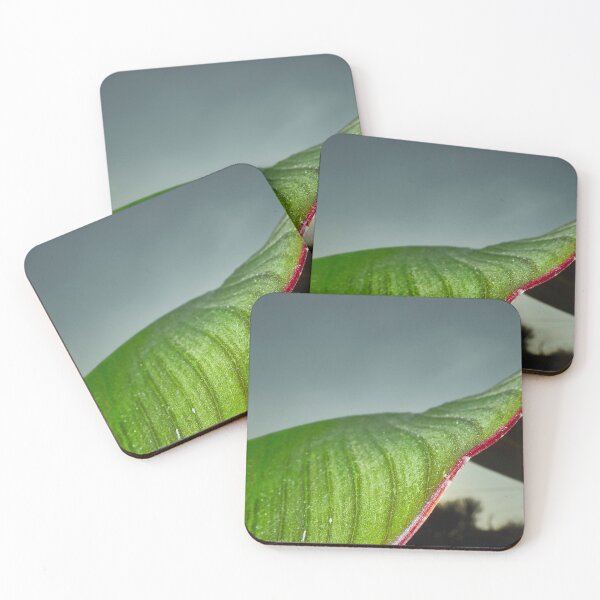 Item preview, Red Banana Leaf designed and sold by Richard Allen.