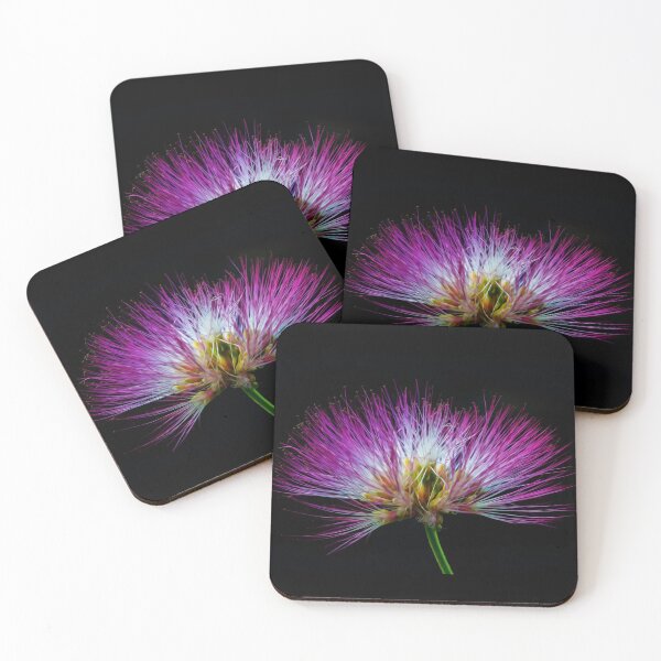 Item preview, Acacia blossom designed and sold by Nicole Bleck.
