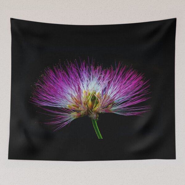 Item preview, Acacia blossom designed and sold by Nicole Bleck.