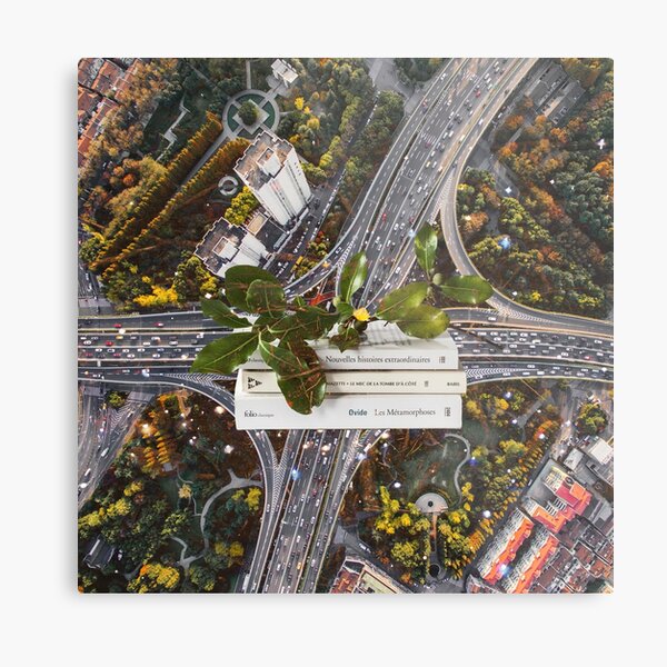 City Books Metal Print