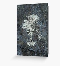 Nature's Arrangement Greeting Card