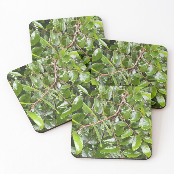 Item preview, Many Leaves designed and sold by caitlin-murphy.