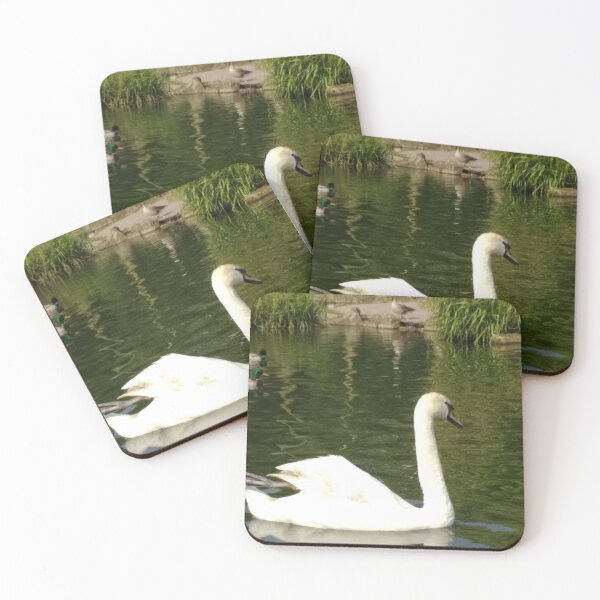 Item preview, #63 |☼| Swan - Shot 21 (Pearson Park) designed and sold by Naean H.F. (Nez Man).