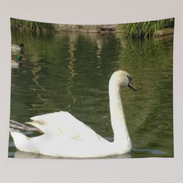 Item preview, #63 |☼| Swan - Shot 21 (Pearson Park) designed and sold by Naean H.F. (Nez Man).