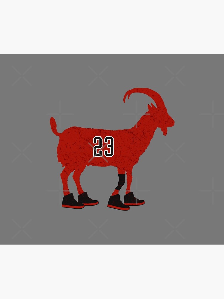 jordan 23 goat