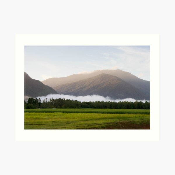 Dawn @ Gordonvale FNQ Art Print