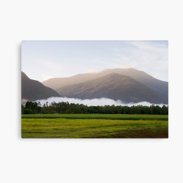 Dawn @ Gordonvale FNQ Canvas Print