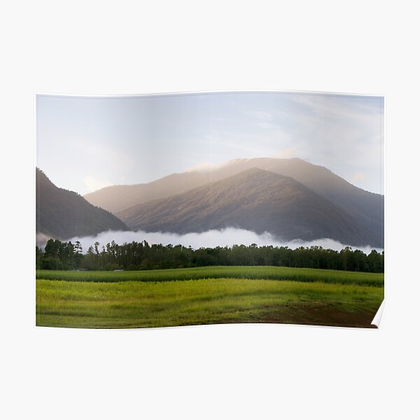 Dawn @ Gordonvale FNQ Poster